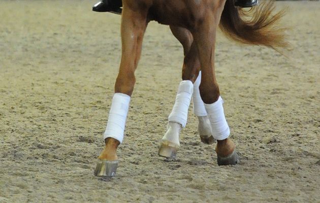 Debbie Criddle riding Akilles in indoor school pararider