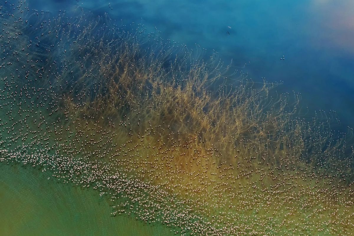 Second place, Nature: Hao J. / National Geographic Travel Photographer of the Year Contest