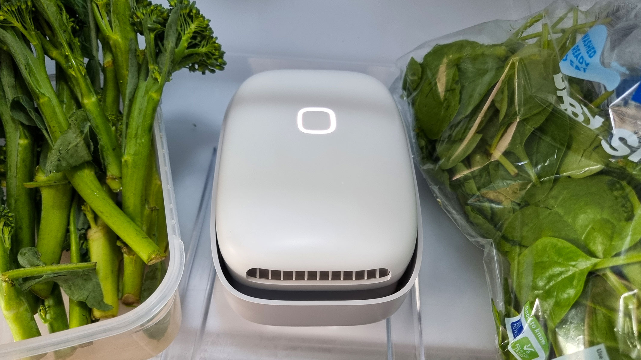 Vitesy Shelfy air purifier sitting in a fridge next to a bunch of tenderstem broccoli and a bag of spinach
