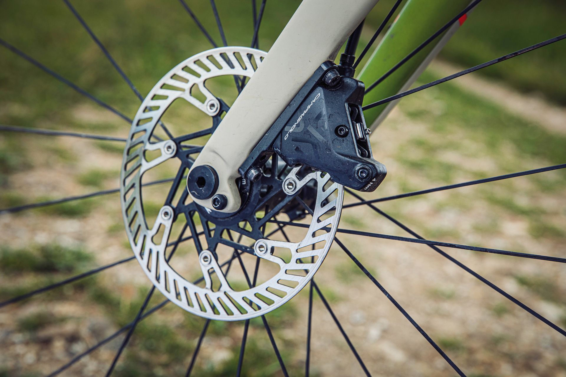 Campagnolo Ekar disc rotor