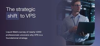 An image of Liquid Web's survey