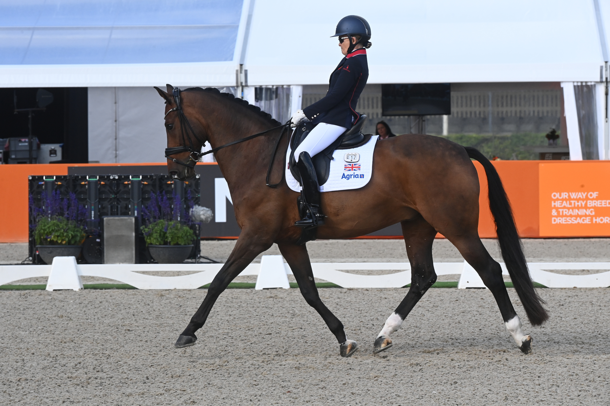 Pictured: Great Britain's Nicola Naylor has won individual bronze at the 2025 European Para Dressage Championships.