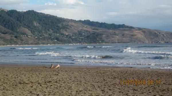 Mike Broderick surfs tiny waves in Bolinas, California