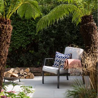 palm trees with chair and cushions