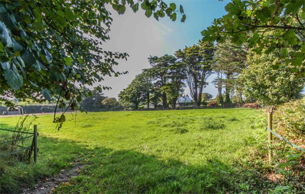 equestrian property