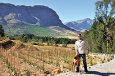 Franschhoek, Gottfried Mocke winemaker Vineyards