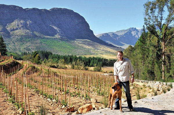 Franschhoek, Gottfried Mocke winemaker Vineyards