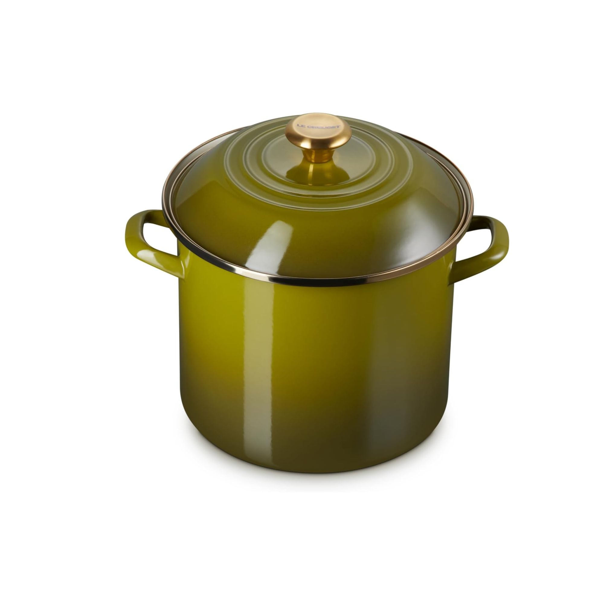 Le Creuset Enamel on Steel Stockpot, 10 Qt., Olive