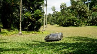 Robot tondeuse à gazon des jardins botaniques de Singapour
