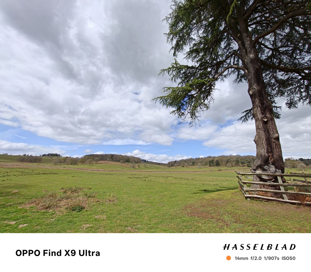 Oppo Find X9 Ultra Sample Photo