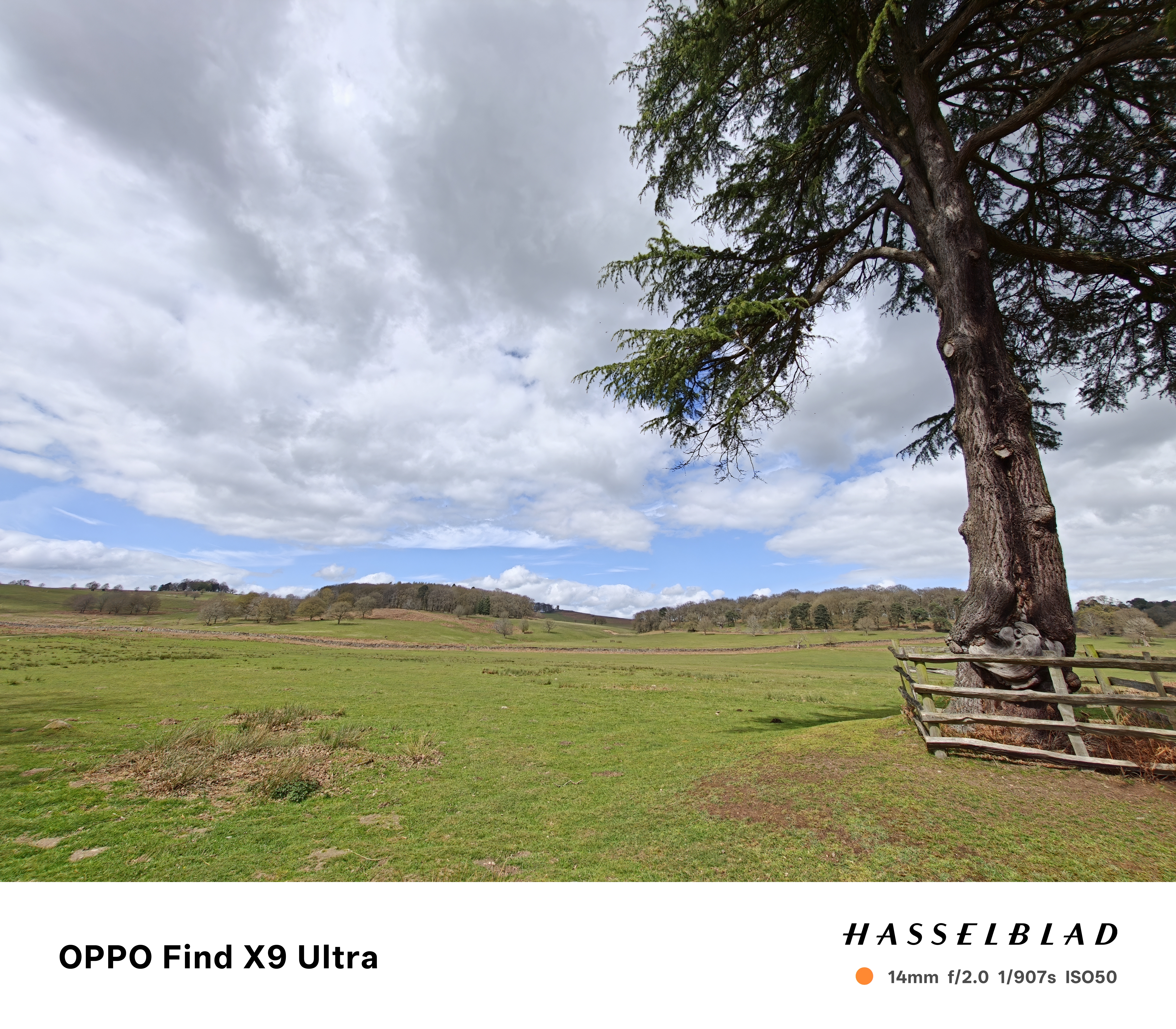 Oppo Find X9 Ultra Sample Photo