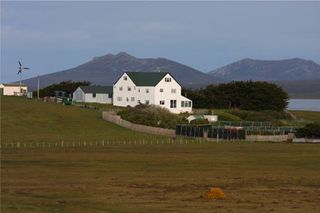 pebble island falklands