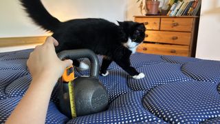 Assessing the comfort and support of the DreamCloud Luxe Memory Foam mattress by measuring how far a weight sinks in the middle of the bed while observed by a cat.