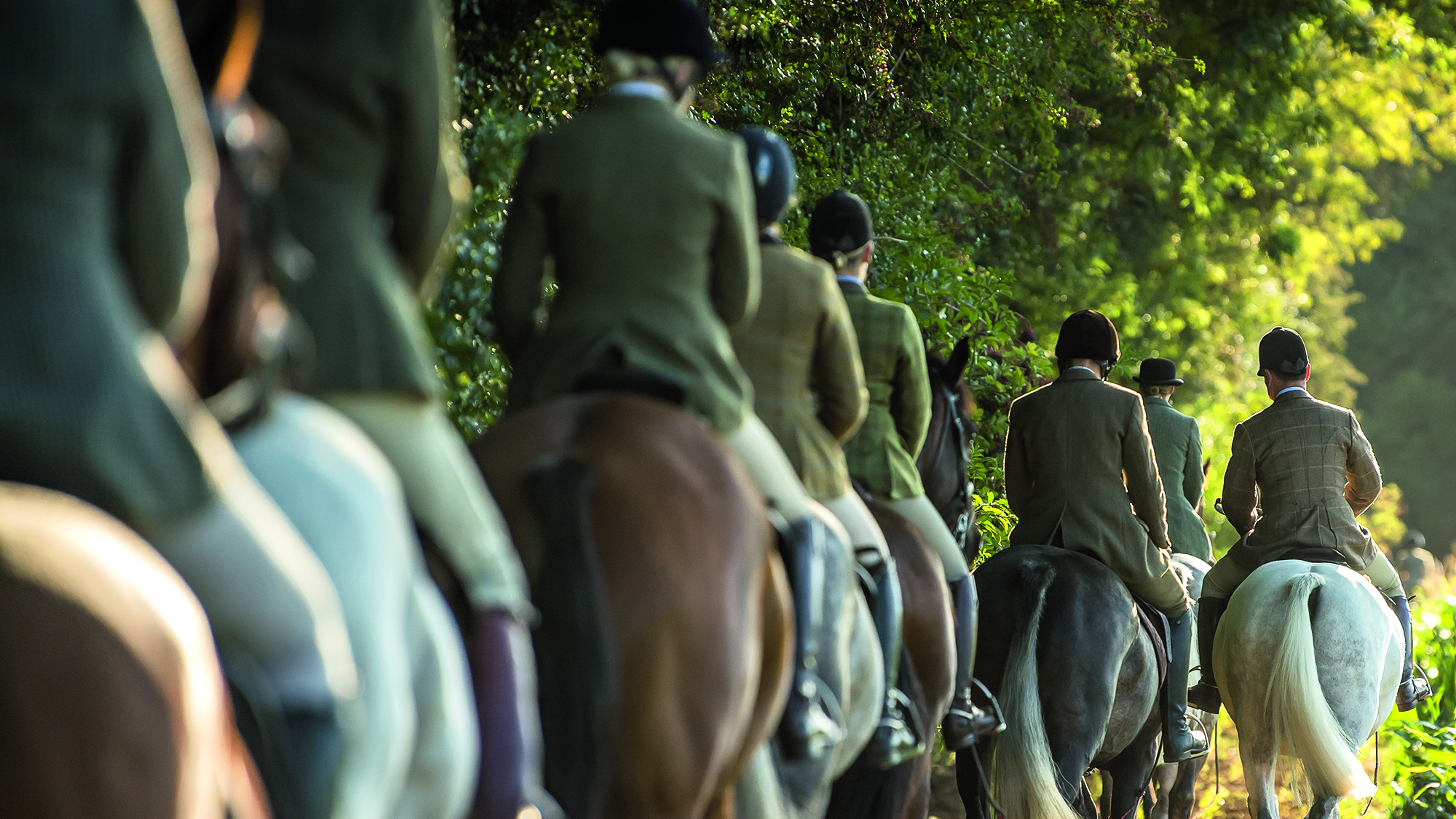 Warwickshire Autumn Hunt 31 08 2018