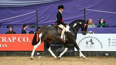 RADLEE-SUDDEN-IMPACT_HOYS_PN24_174643.jpg