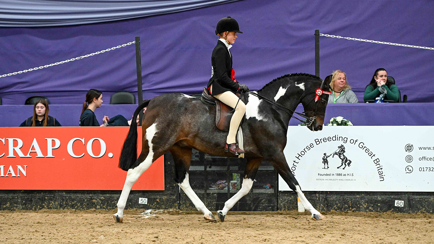 RADLEE-SUDDEN-IMPACT_HOYS_PN24_174643.jpg