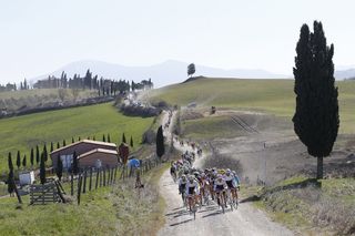 The famous white roads of Strade Bianche