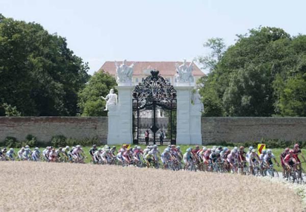 The field doesn't have time to look at the beautiful gate