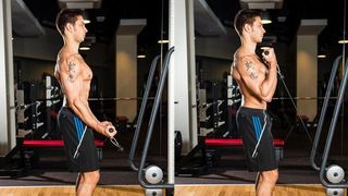 A man performing a cable biceps curl as part of a workout plan for muscle gain