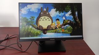 Philips 242B1TC monitor featuring screensaver of Totoro and friends