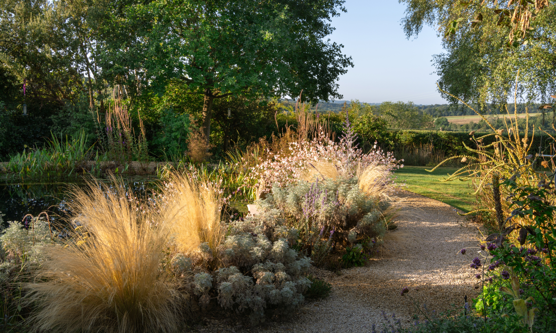 Autumnal garden landscape with ornamental grasses in the sunshine and large trees in background