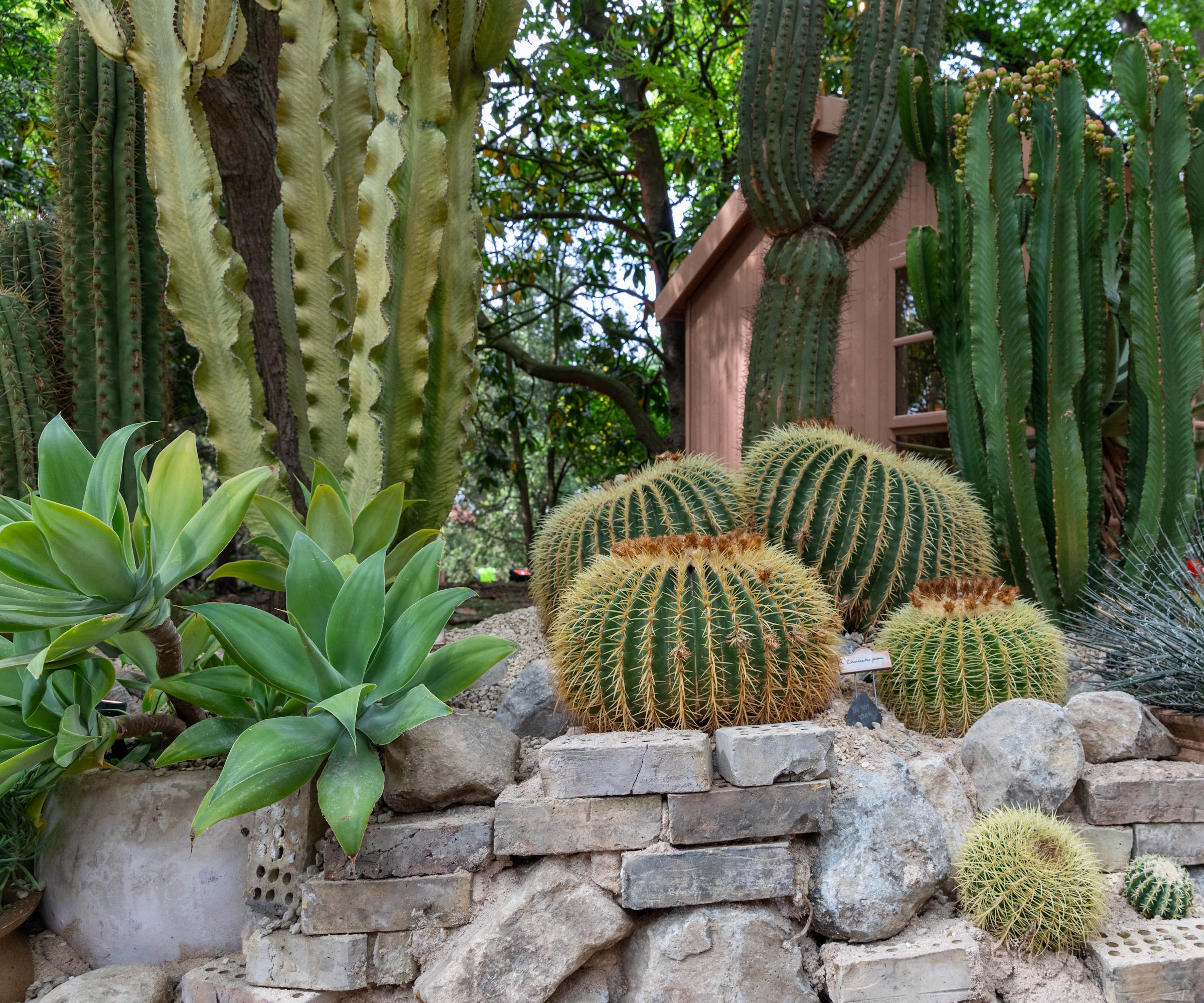RHS Chelsea 2026 An Ode to Endurance