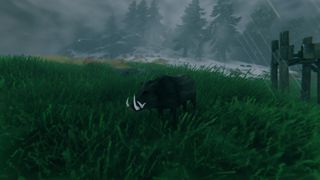 How to tame boars in Valheim
