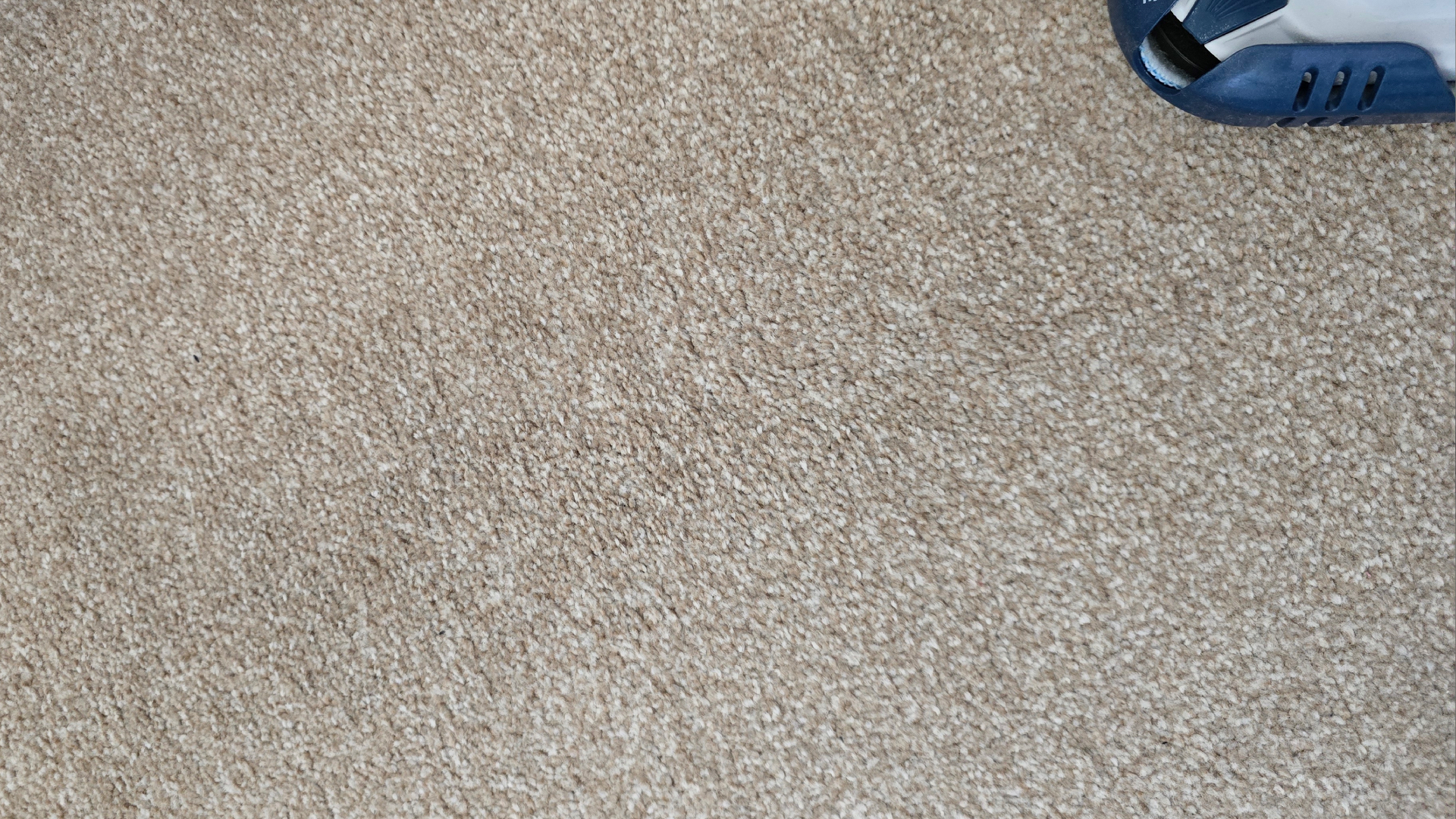 Vax Steam Fresh Total Home cleaning carpet stain