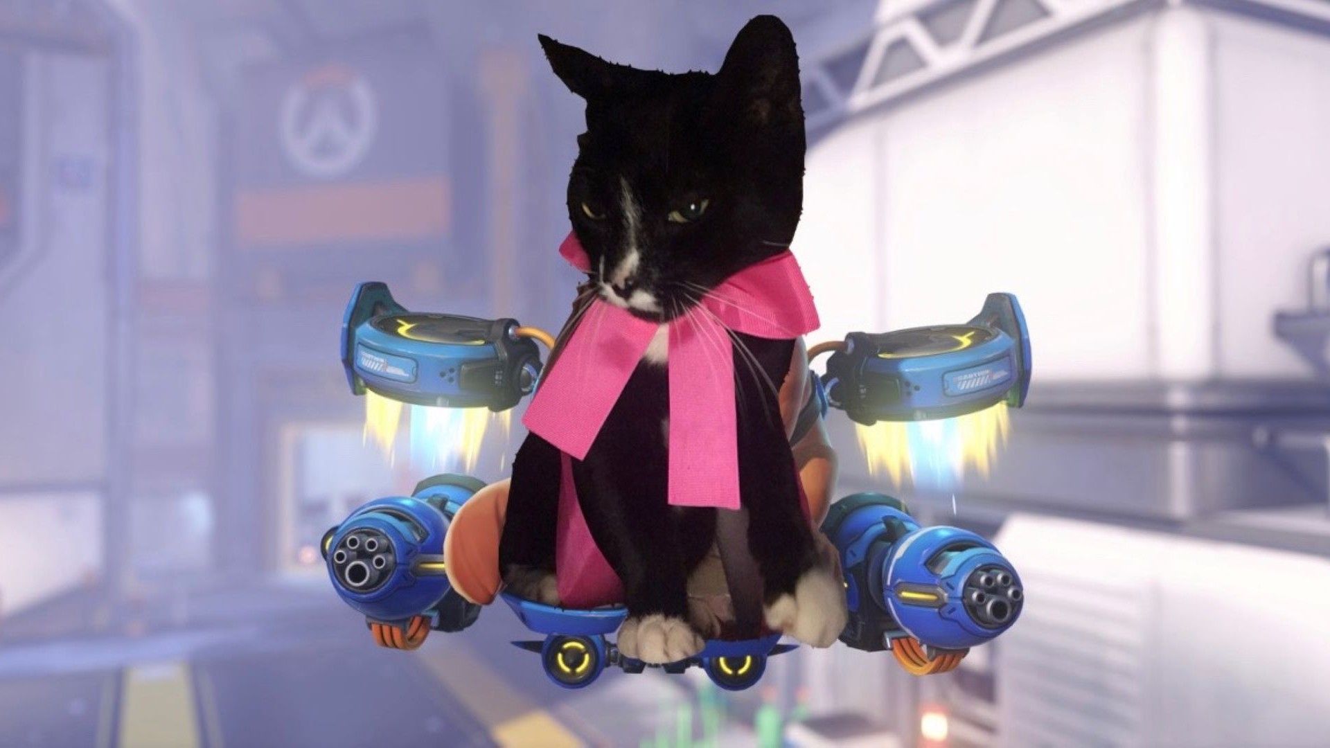 In the best thing Overwatch has brought to the world in years, fans flood the internet with edits of their own pets cosplaying as Jetpack Cat