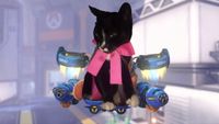 Bad photoshop of Paws, a black and white cat wearing a pink ribbon, edited onto Jetpack Cat from Overwatch.