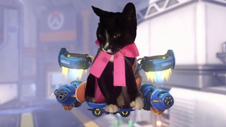Bad photoshop of Paws, a black and white cat wearing a pink ribbon, edited onto Jetpack Cat from Overwatch.