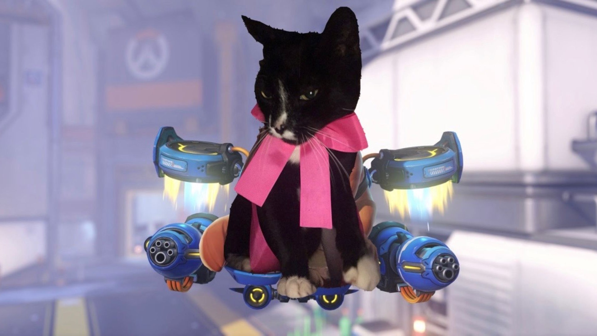 Bad photoshop of Paws, a black and white cat wearing a pink ribbon, edited onto Jetpack Cat from Overwatch.