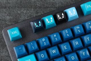 four cat themed keycaps on a keyboard