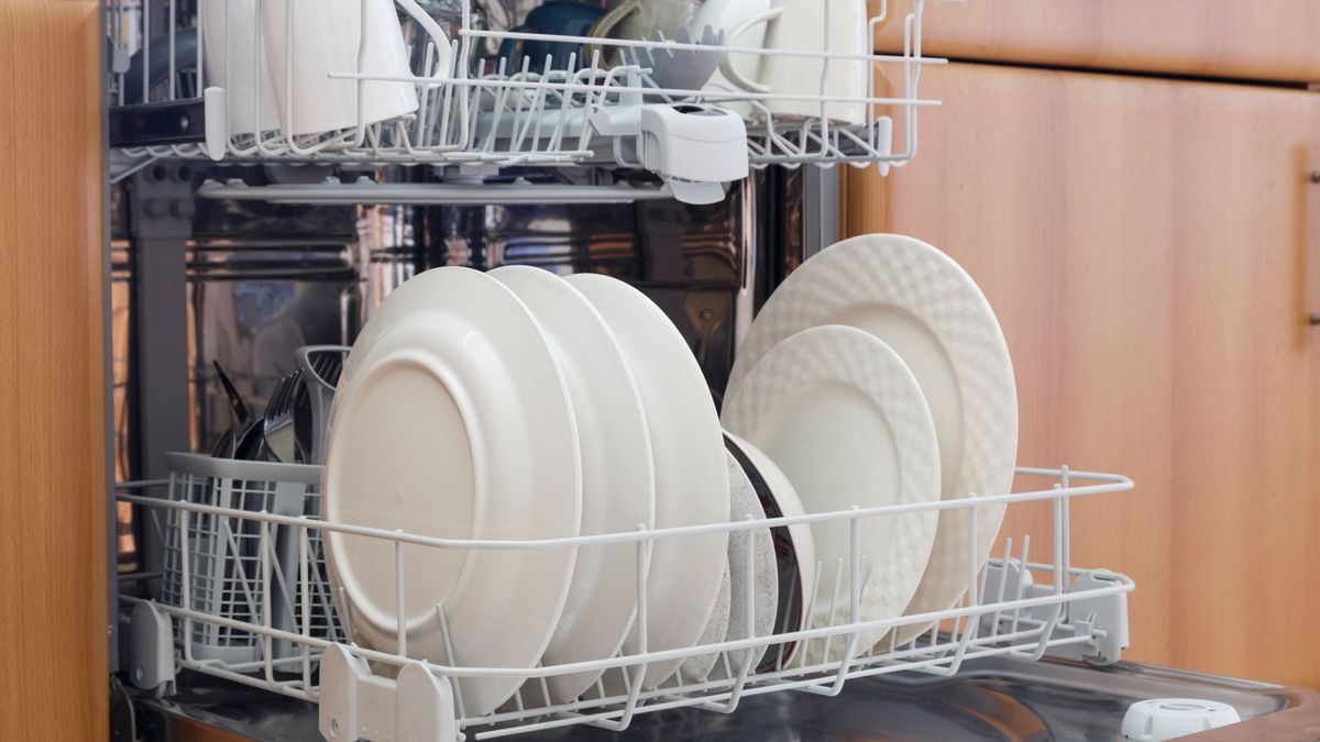 Best dishwashers 2023: for cleaner dishes with every cycle | Top Ten ...