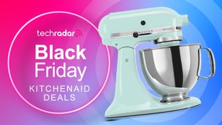 A mind KitchenAid stand mixer in front of a sign saying Black Friday
