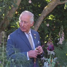 King Charles standing in a field of flowers wearing a suit