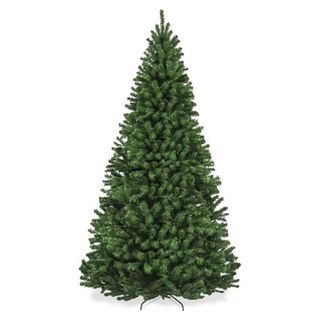 Green christmas tree