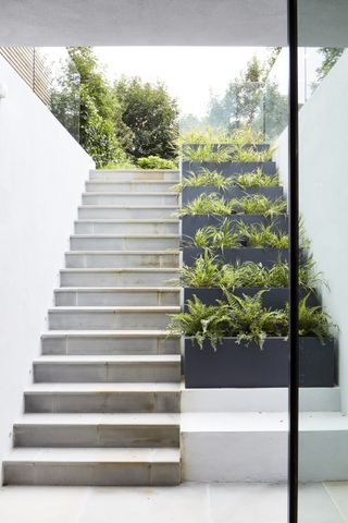 contemporary steps leading up from a basement living area to a raised garden area