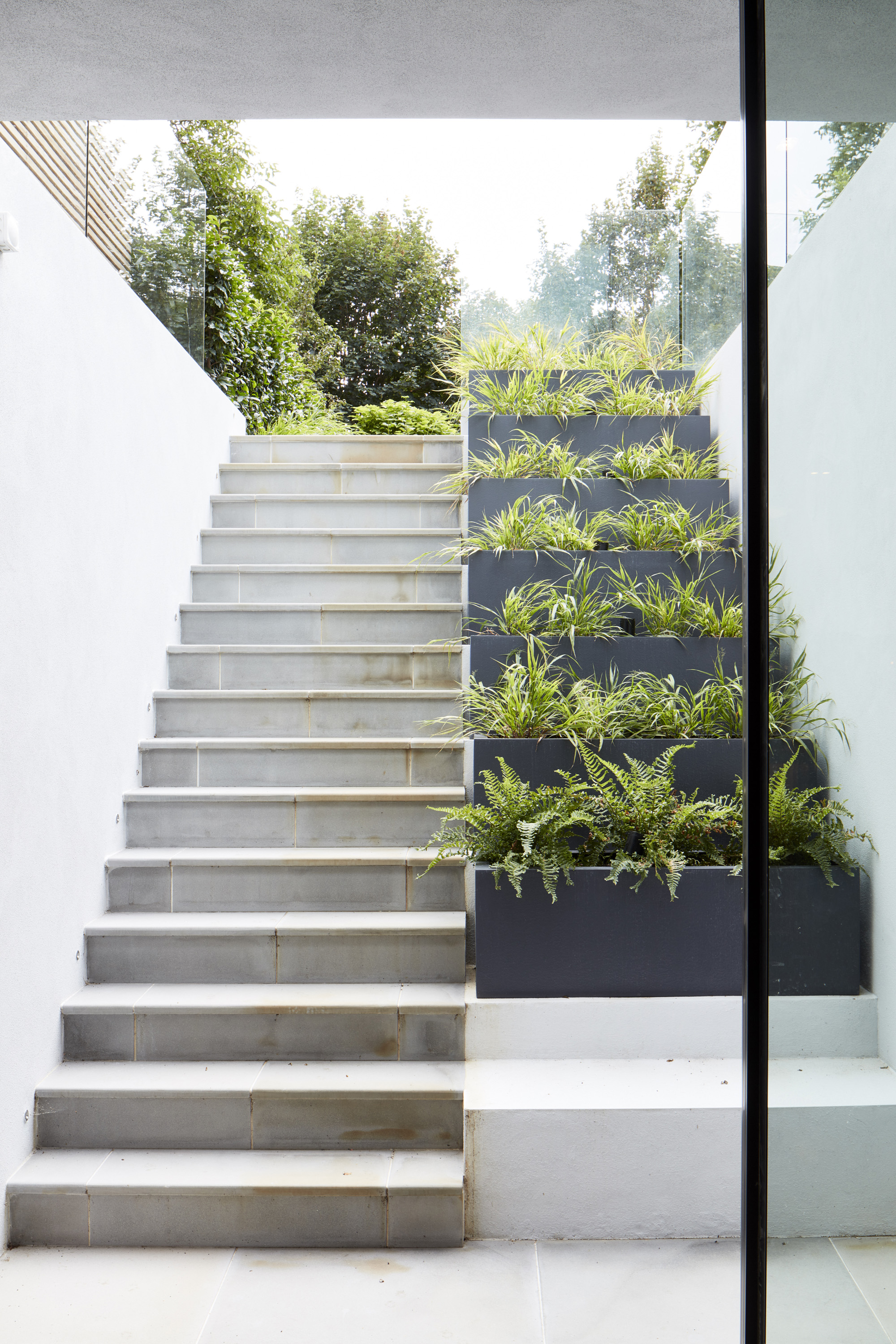 contemporary steps leading up from a basement living area toto a raised garden area