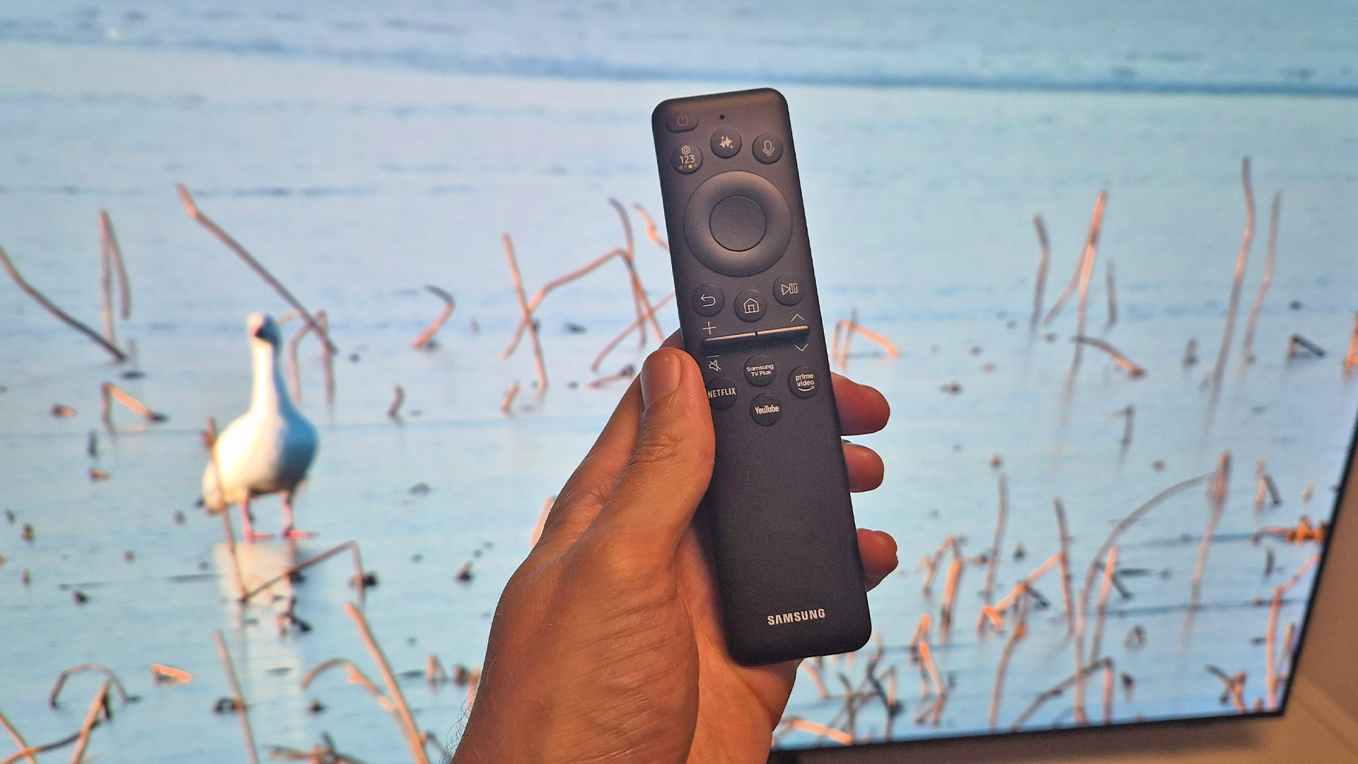 Samsung S85H OLED TV with remote held in hand in front of image of wetlands on screen