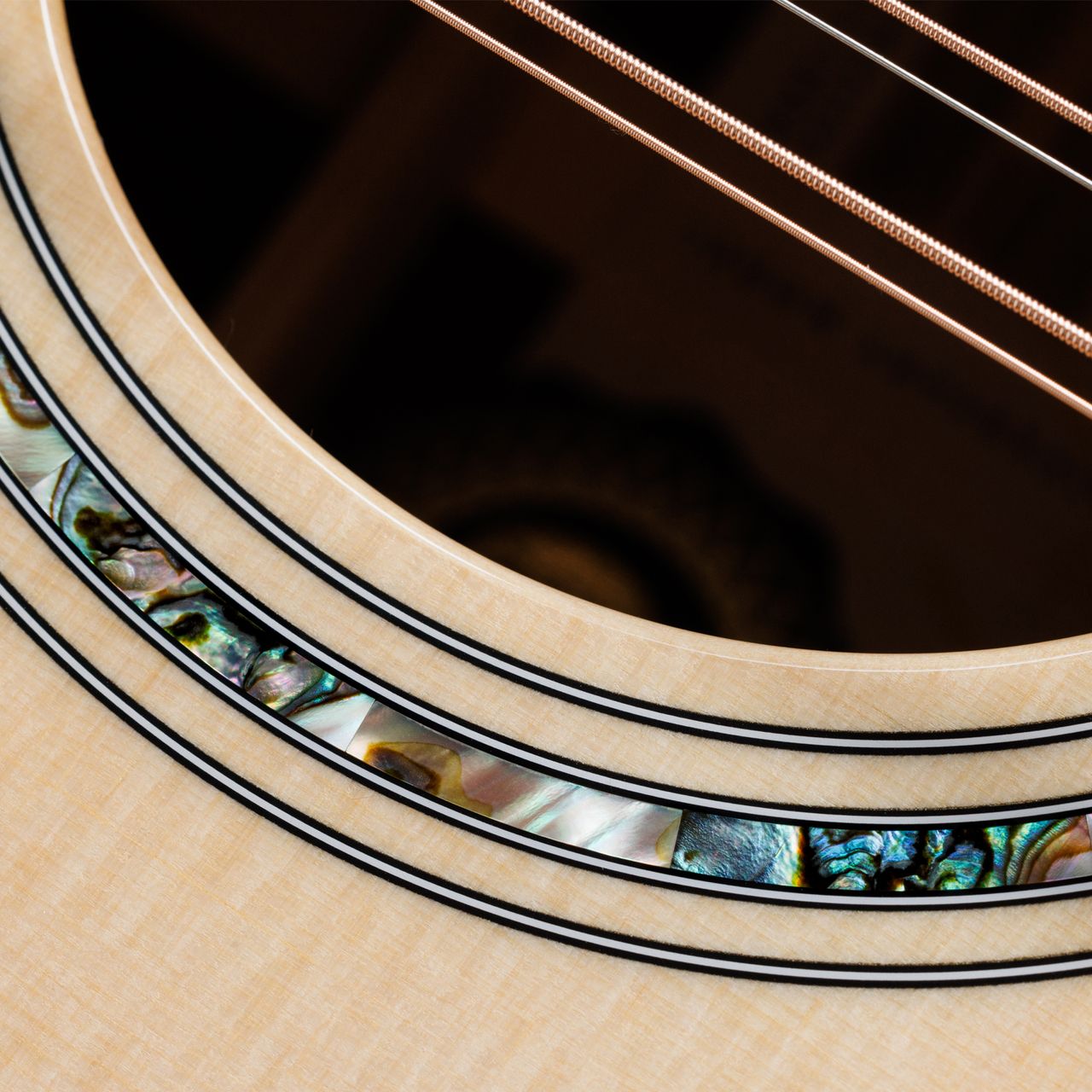 Photos of the Taylor Guitars 50th Anniversary 858E LTD Grand Orchestra 12-String