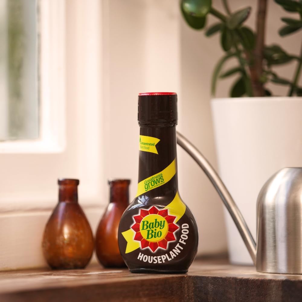 Baby Bio Houseplant Food, 175ml- Fertiliser for Growing Vibrant and Healthy Plants - Easy to Use House Plant Care - Concentrate Plant Food - Indoor Use Plant Nutrition