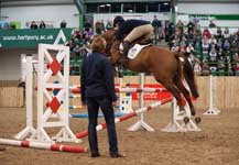 IEV2010_Hartpury-71207.jpg