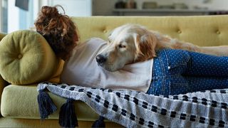 A woman with curly hair napping on a yellow sofa with a long haired labrador listening to binaural beats