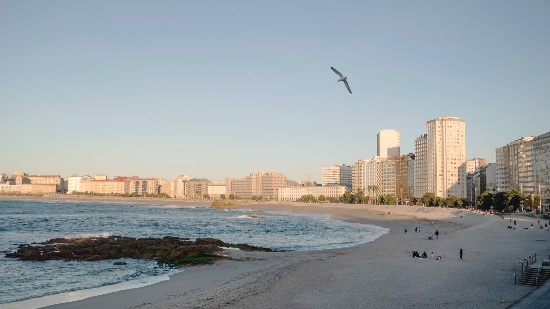 A sandy beach with gentle waves, rocks near the shoreline, and tall city buildings in the background. A seagull is flying overhead under a clear blue sky as people stroll and relax along the beach.