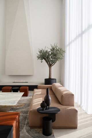 A houseplant used in a living room to cool down the space
