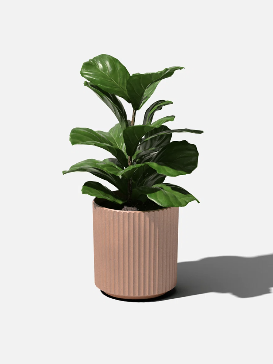 ceramic planter