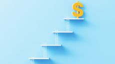 tiny white ladders leading up to tiny white landings, stair-stepping to a large yellow dollar sign