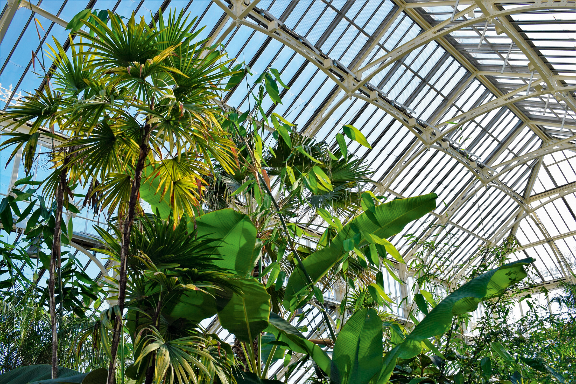 The Temperate house at Kew Gardens will be at the centre of the &amp;lsquo;Material World&amp;rsquo; festival