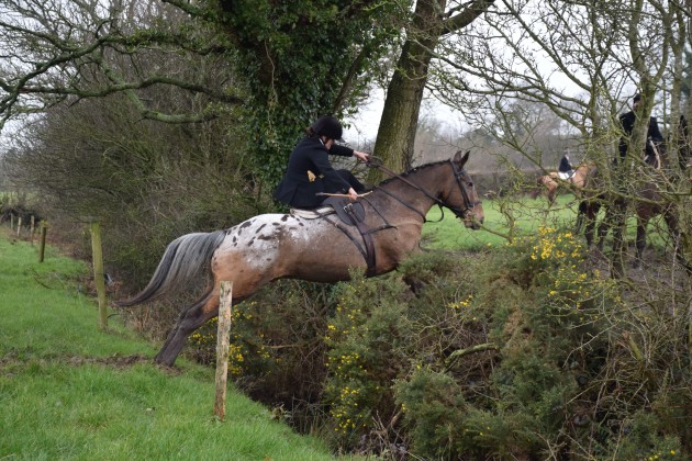 Rosey English Caplice takes on a bank out with the Tipperary Foxhounds at their side-saddle meet